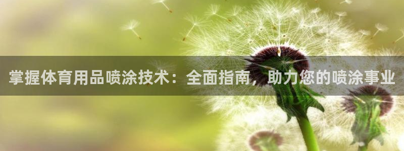 欧陆娱乐平台登录不上怎么办：掌握体育用品喷涂技术：全