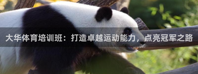 欧陆娱乐游戏特色：大华体育培训班：打造卓越运动能力，
