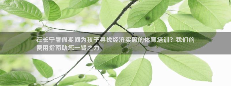 欧陆娱乐平台登录：在长宁暑假期间为孩子寻找经济实惠的