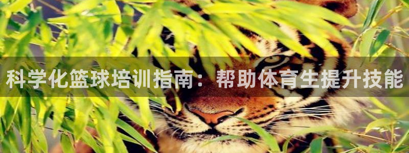 欧陆娱乐游戏特色：科学化篮球培训指南：帮助体育生提升