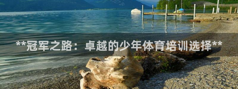 欧陆娱乐合法吗：**冠军之路：卓越的少年体育培训选择