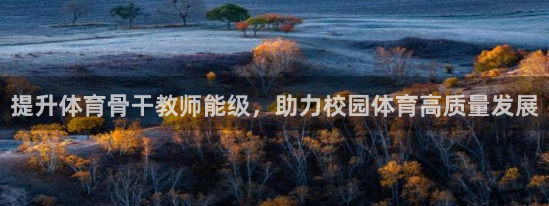 欧陆娱乐app打不开怎么回事：提升体育骨干教师能级，