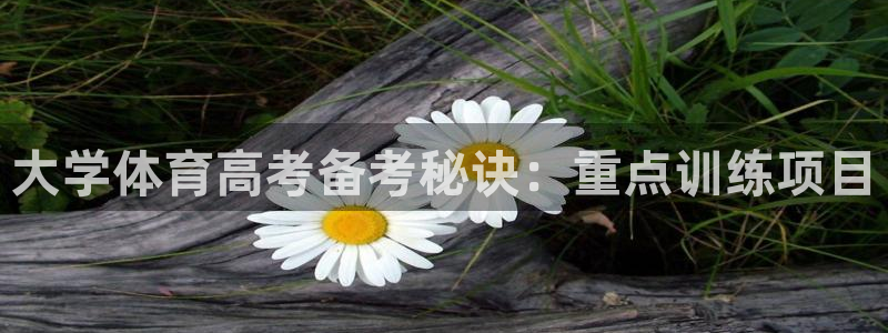 欧陆娱乐请输入USDT地址：大学体育高考备考秘诀：重