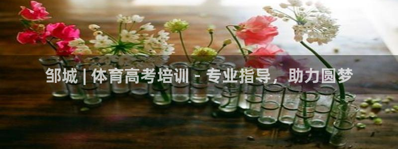 欧陆娱乐官网下载安装苹果：邹城 | 体育高考培训 -
