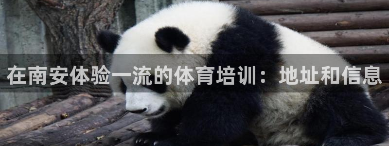 欧陆娱乐的故事：在南安体验一流的体育培训：地址和信息