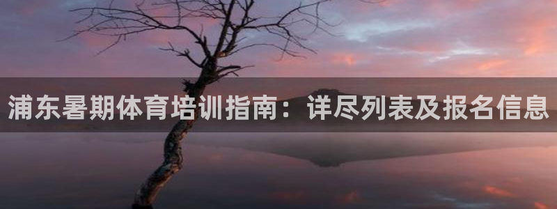 欧陆娱乐总代理电话：浦东暑期体育培训指南：详尽列表及