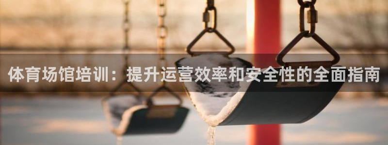 欧陆娱乐简介：体育场馆培训：提升运营效率和安全性的全