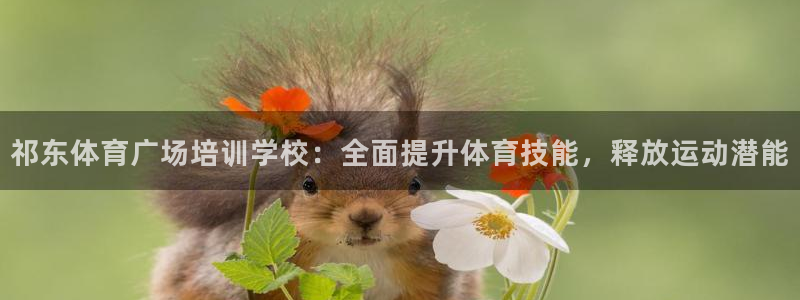 欧陆娱乐平台官网下载：祁东体育广场培训学校：全面提升