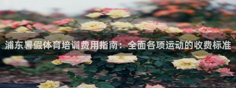 欧陆娱乐简介：浦东暑假体育培训费用指南：全面各项运动