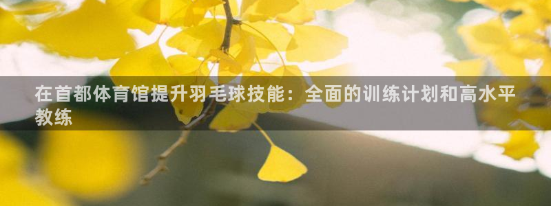 重庆欧陆娱乐有限公司怎么样：在首都体育馆提升羽毛球技
