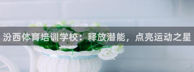 欧陆娱乐挂机怎么玩游戏：汾西体育培训学校：释放潜能，