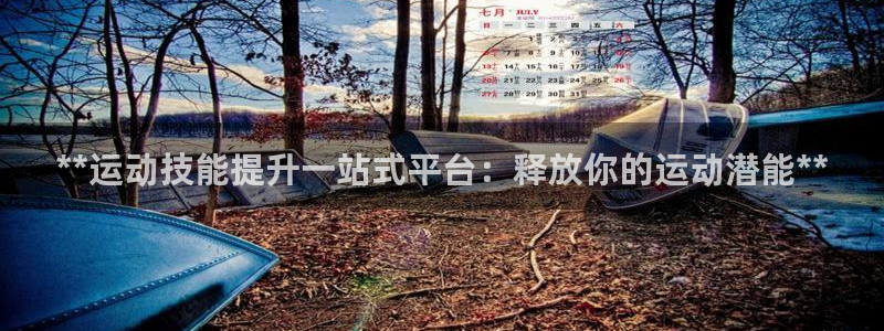 欧陆娱乐登陆官网下载：**运动技能提升一站式平台：释