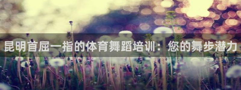 欧陆娱乐游戏特色：昆明首屈一指的体育舞蹈培训：您的舞