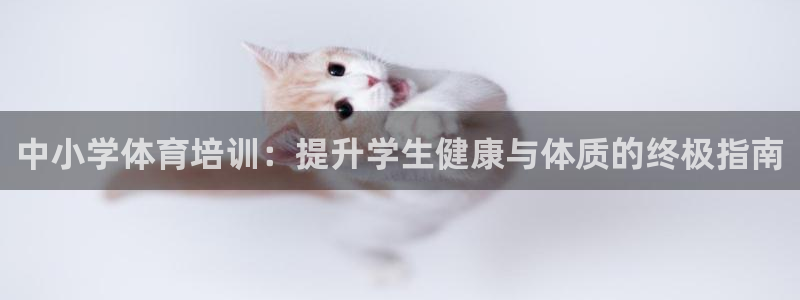 欧陆娱乐代理多少个点位可以赚钱：中小学体育培训：提升