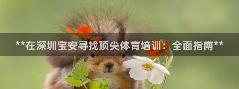 欧陆娱乐官方下载安装：**在深圳宝安寻找顶尖体育培训