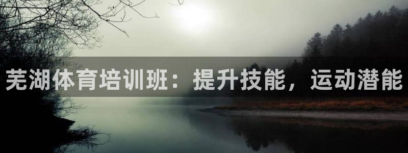 欧陆是什么平台：芜湖体育培训班：提升技能，运动潜能