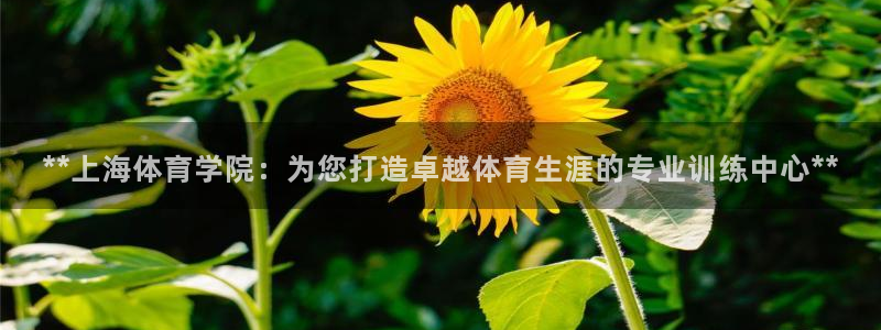欧陆娱乐平台官网：**上海体育学院：为您打造卓越体育