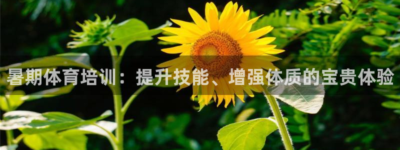 欧陆娱乐官网首页网址：暑期体育培训：提升技能、增强体