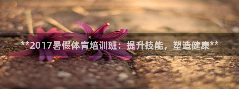 欧陆娱乐官网下载安装最新版：**2017暑假体育培训