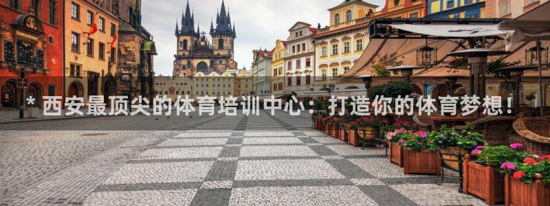 欧陆娱乐登陆官网入口：* 西安最顶尖的体育培训中心：