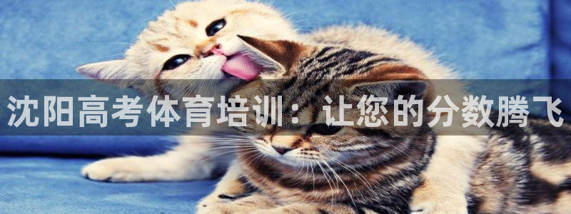 欧陆娱乐公司产品介绍怎么写：沈阳高考体育培训：让您的