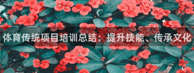 欧陆娱乐是什么：体育传统项目培训总结：提升技能、传承