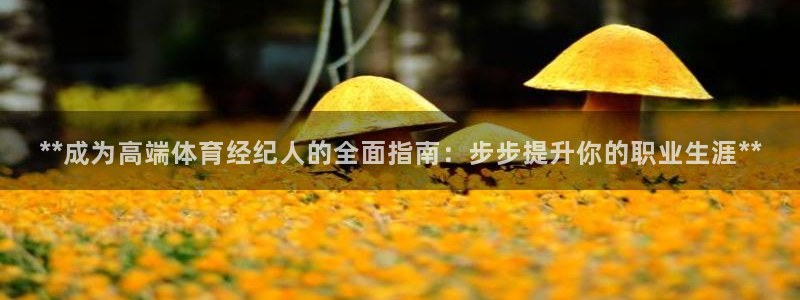 欧陆娱乐注册链接安全吗：**成为高端体育经纪人的全面
