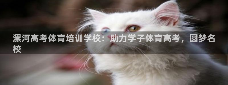 欧陆娱乐官网首页入口：漯河高考体育培训学校：助力学子