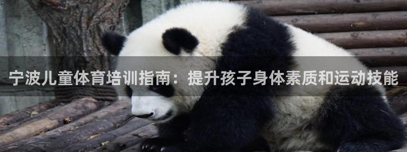 欧陆娱乐登录测速：宁波儿童体育培训指南：提升孩子身体