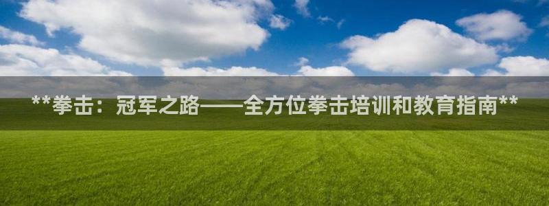 欧陆娱乐是正规平台吗安全吗知乎推荐：**拳击：冠军之