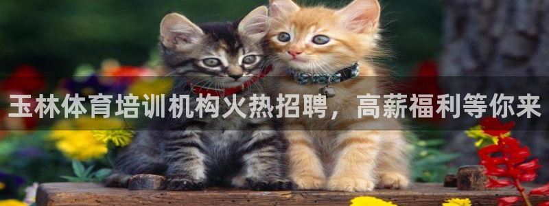 欧陆娱乐测试网站：玉林体育培训机构火热招聘，高薪福利