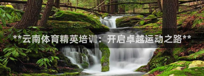 欧陆娱乐里面怎么看打排五：**云南体育精英培训：开启