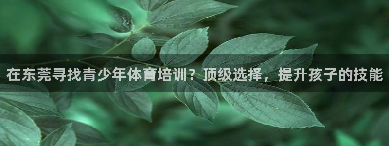欧陆游戏平台：在东莞寻找青少年体育培训？顶级选择，提