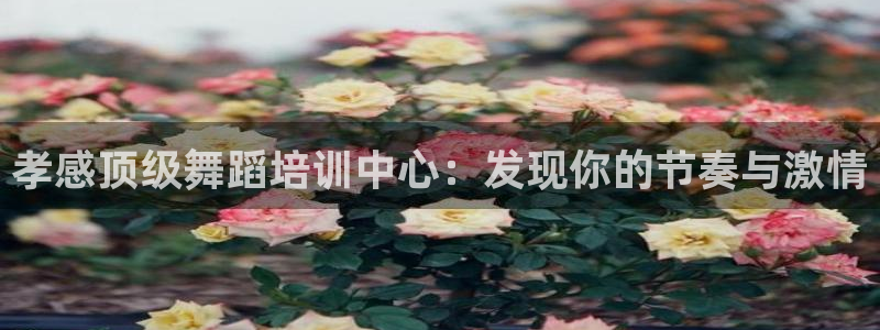 欧陆娱乐官方网站入口：孝感顶级舞蹈培训中心：发现你的