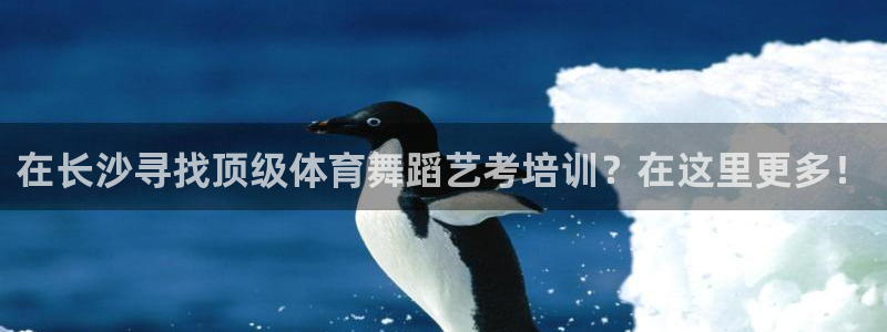 欧陆娱乐脚本：在长沙寻找顶级体育舞蹈艺考培训？在这里