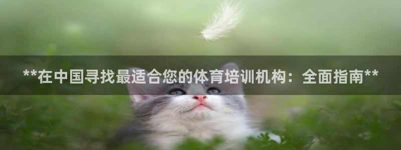 欧陆娱乐测速：**在中国寻找最适合您的体育培训机构：