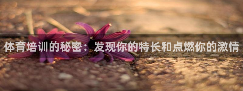 欧陆娱乐代理多少个点位可以赚钱：体育培训的秘密：发现