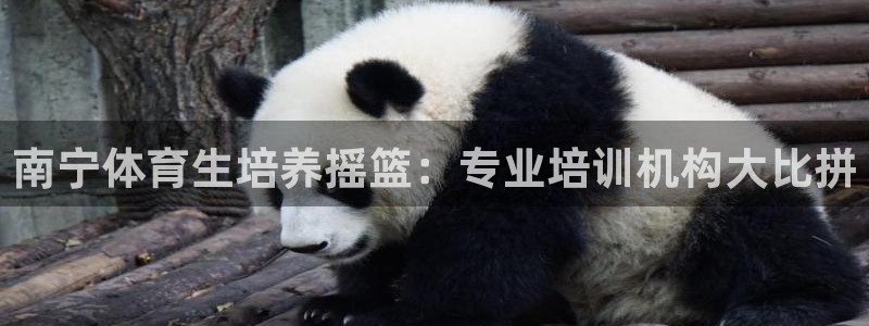 欧陆娱乐图片：南宁体育生培养摇篮：专业培训机构大比拼