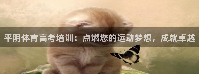 欧陆娱乐平台登陆地址在哪里：平阴体育高考培训：点燃您