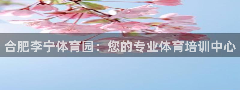 欧陆娱乐平台官网下载：合肥李宁体育园：您的专业体育培