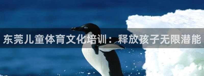 欧陆娱乐的故事：东莞儿童体育文化培训：释放孩子无限潜