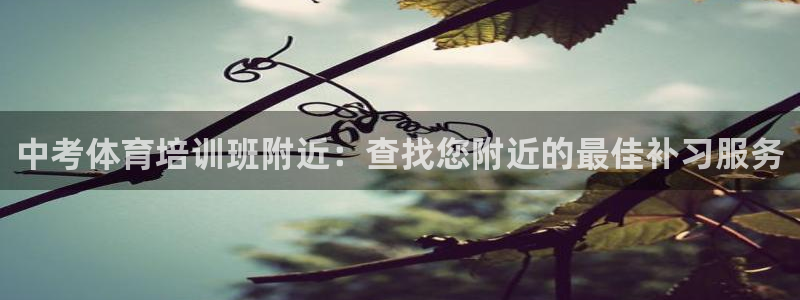 欧陆娱乐挂机怎么玩的：中考体育培训班附近：查找您附近