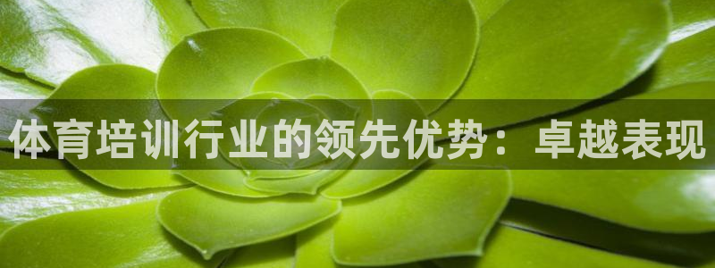 欧陆娱乐微信众：体育培训行业的领先优势：卓越表现