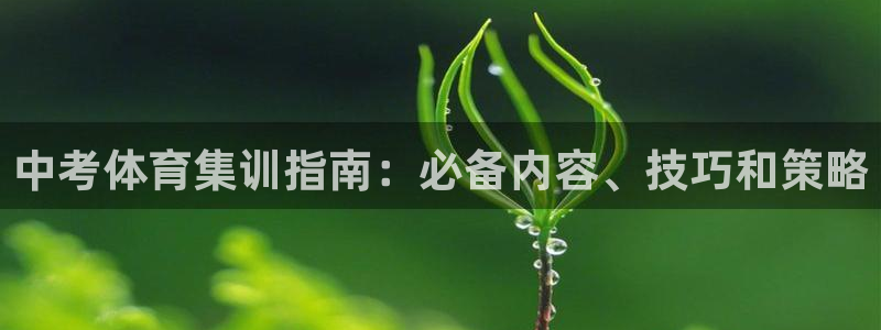 欧陆娱乐总代理电话：中考体育集训指南：必备内容、技巧