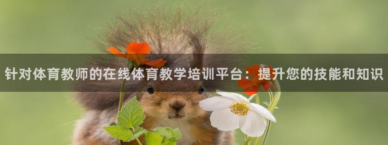 欧陆娱乐登录测速怎么关闭：针对体育教师的在线体育教学
