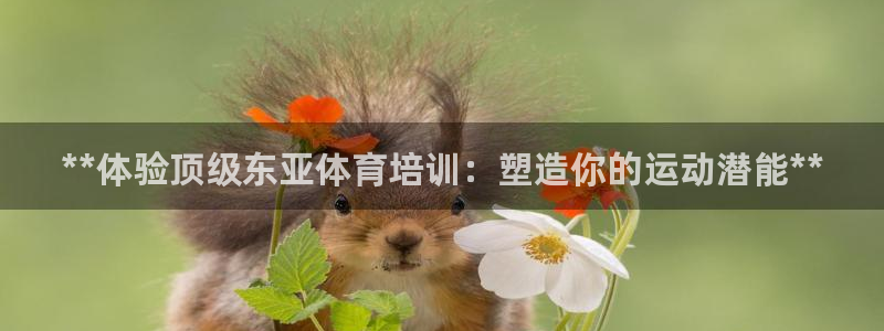 欧陆娱乐登陆官网网址：**体验顶级东亚体育培训：塑造