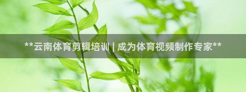 欧陆娱乐安全吗：**云南体育剪辑培训 | 成为体育视