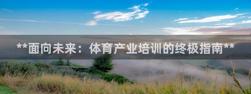 欧陆娱乐是那个旗下的品牌公司：**面向未来：体育产业