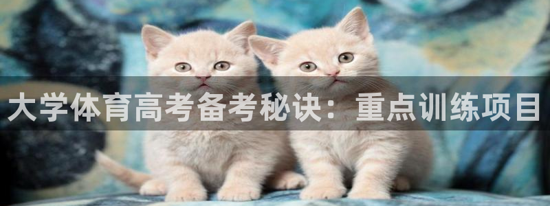 欧陆娱乐测速网站：大学体育高考备考秘诀：重点训练项目