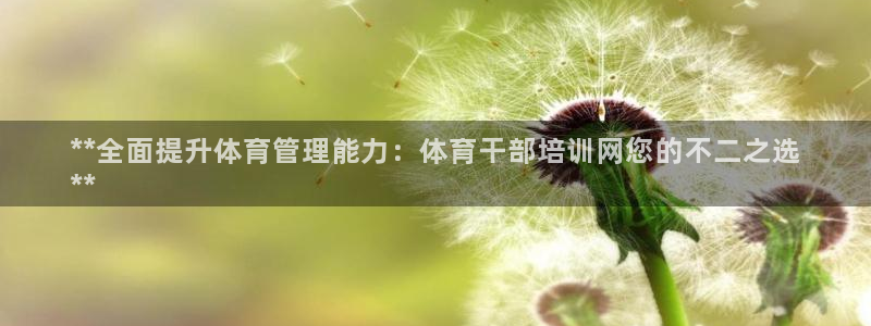 欧陆娱乐平台咋样赚钱快：**全面提升体育管理能力：体